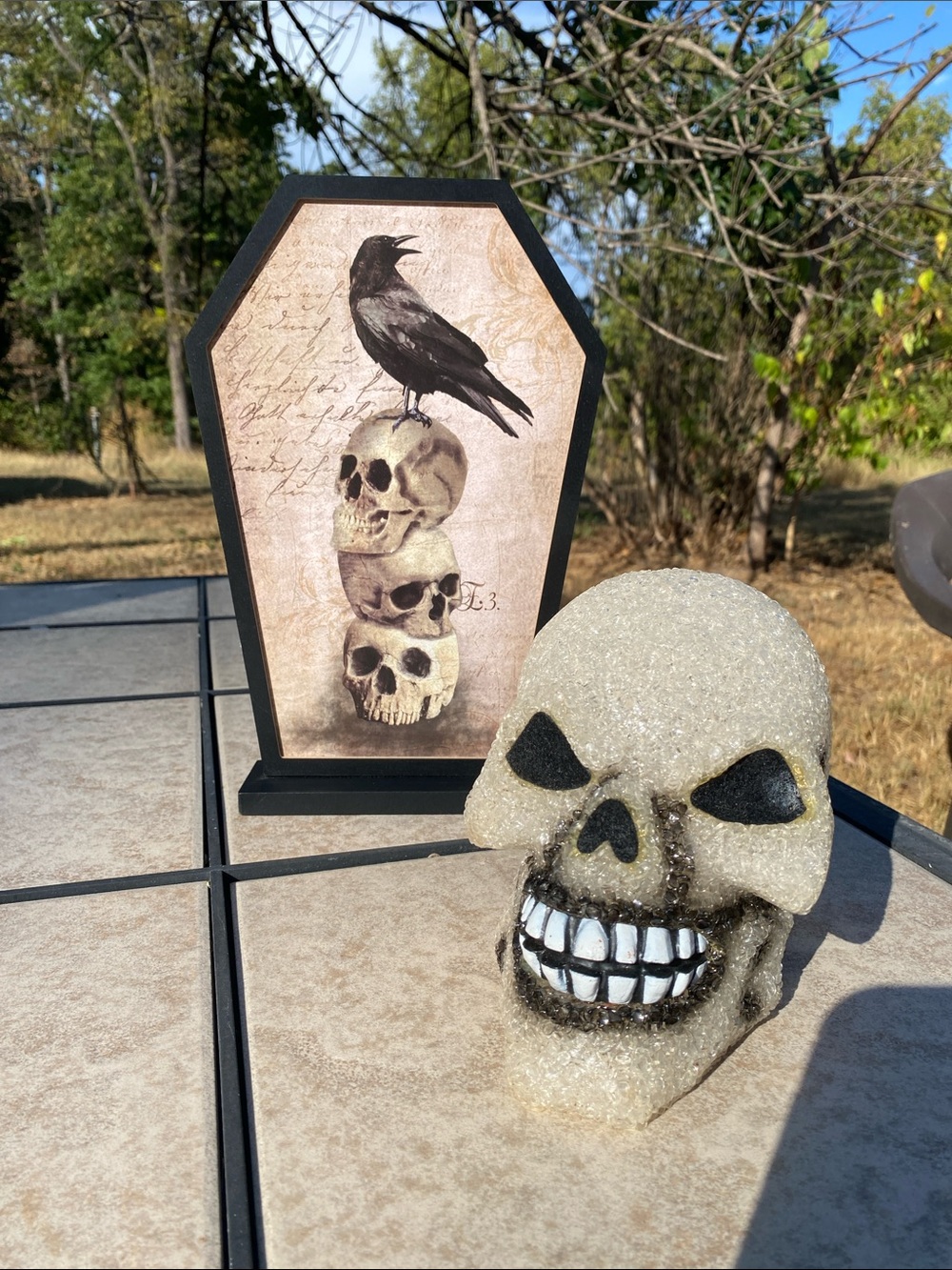 Halloween Decor Set: Coffin Raven Plaque and Popcorn Skull